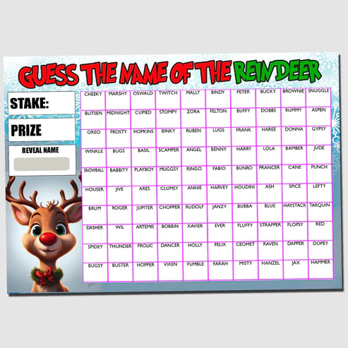 Fundraising Scratch card Game Guess the Reindeers Name Christmas Fete Fayre Party A4